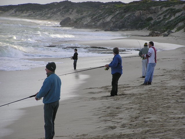 Tailor fishing at loonies